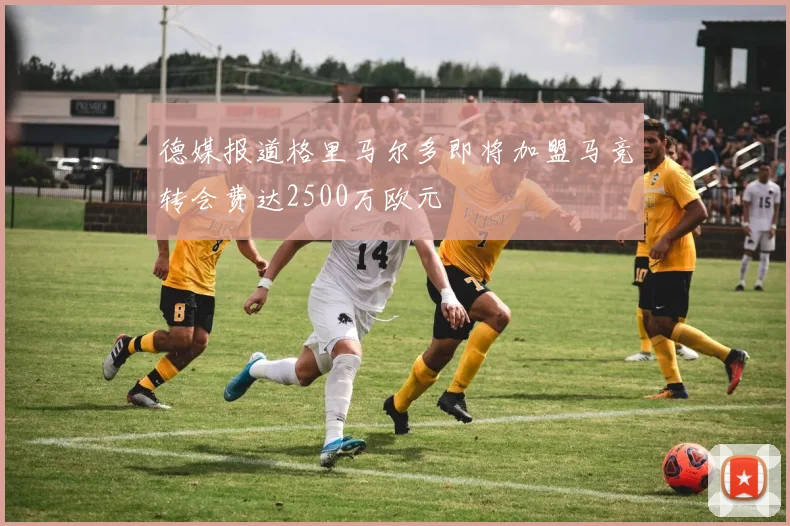 德媒报道格里马尔多即将加盟马竞转会费达2500万欧元