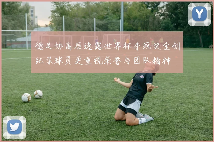 德足协高层透露世界杯夺冠奖金创纪录球员更重视荣誉与团队精神